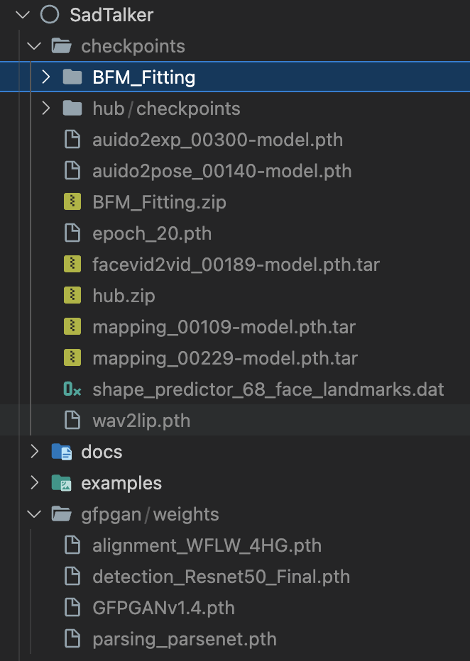 图3 README Model Details 中的检查点目录结构参考(旧版文件清单,新版以下载脚本为准)