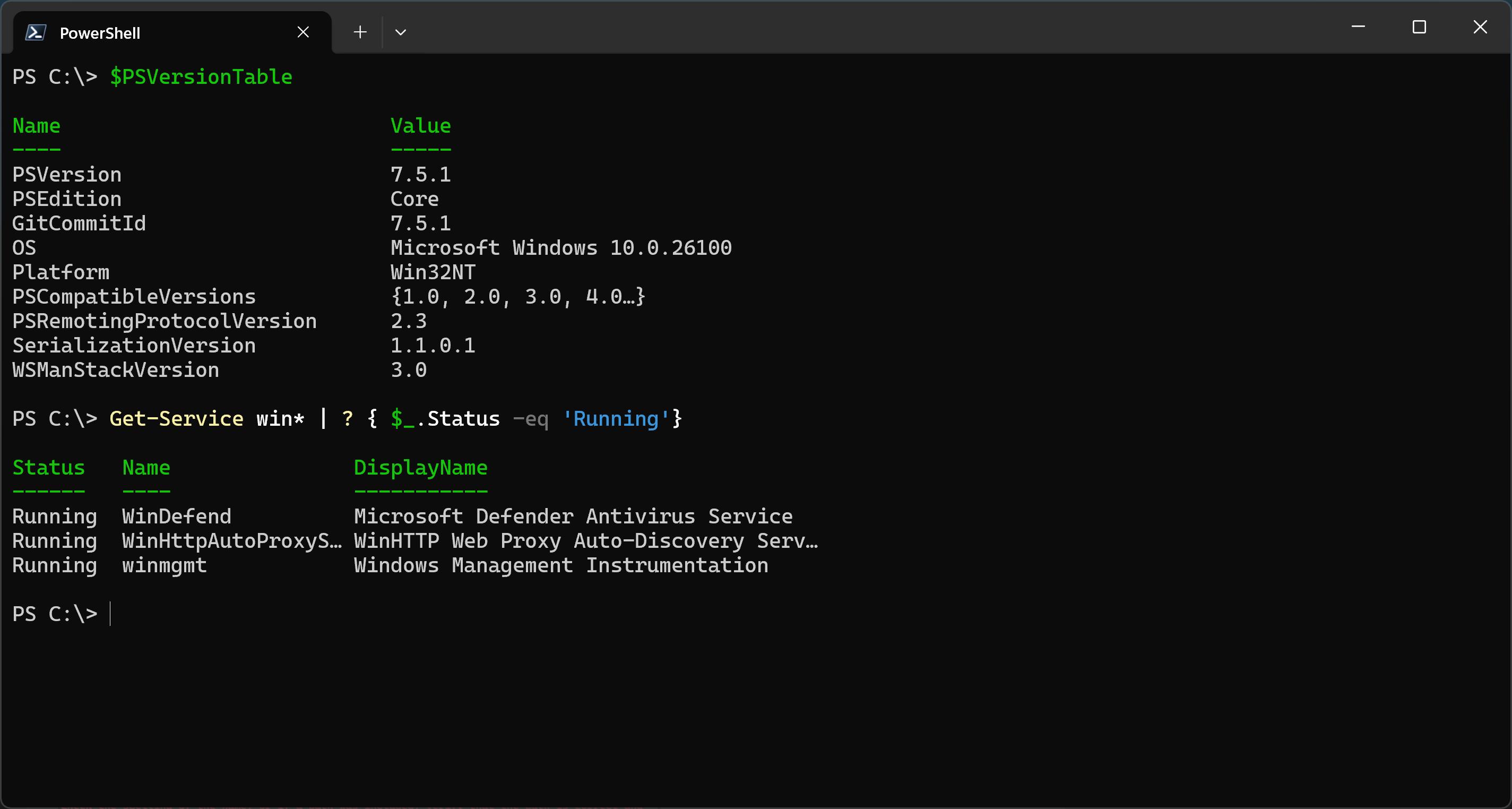 PowerShell 7.5 在终端中的运行效果